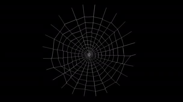 Spider web animation with alpha channel — Stock Video