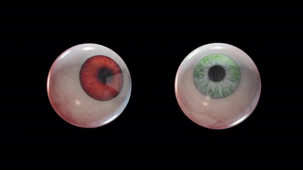 Boucle Mal yeux effrayants de couleur verte et rouge avec canal alpha — Video