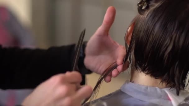 Salon fryzjerski przycinanie końców-2 — Wideo stockowe