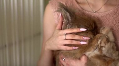 Bir kız güzel manikür ile vuruş.