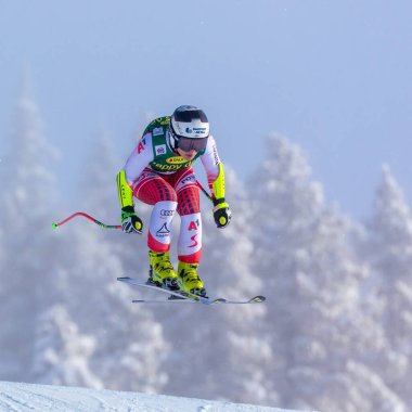 Avusturyalı Nicole Schmidhofer, FIS Dünya Kayak Kupası Süper Gölü Süper G, Lake Louise, Alberta, Kanada, 08 Aralık 2019.