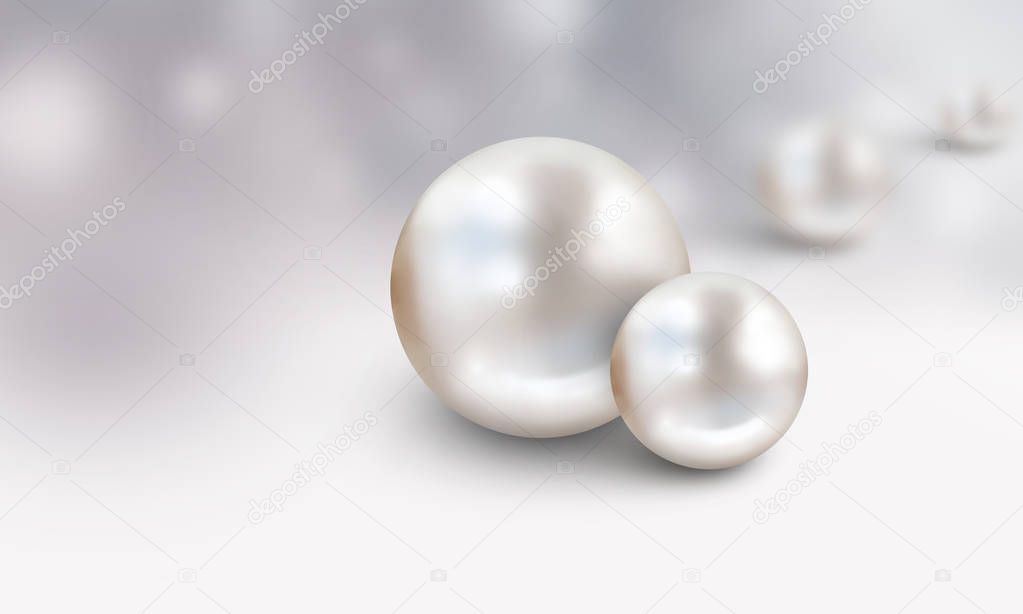 Wedding pearl background with two large white shiny nacreous pearls isolated on white and blue blurred background - space for tex