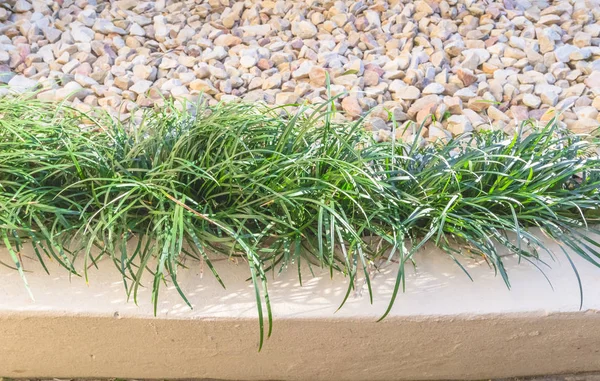 Aesthetic Garden Edge Design Detail Grass Stone Gravel Close View — Stock Photo, Image