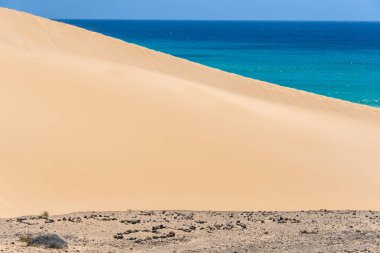 Kum tepeleri plajda Sotavento Fuerteventura, Kanarya Adaları, İspanya