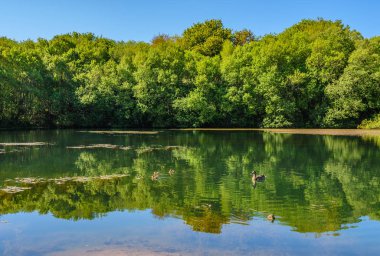 Santiago de Compostela, Galiçya, İspanya gölde bir yansıma