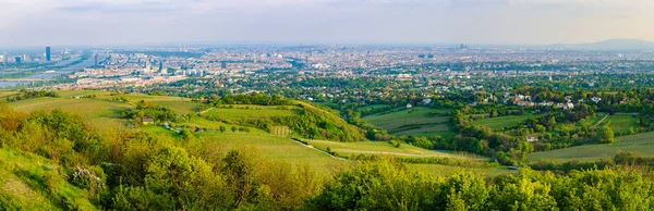 Kahlenberg Yılında Viyana Avusturya Şehrin Panoramik Görünümü — Stok fotoğraf