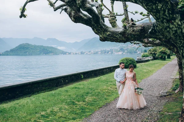 Sposi Novelli Che Camminano Nella Natura Passeggiata Sposo Sposa Lungo — Foto Stock