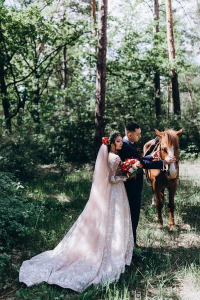 Passeggiata Nel Bosco Degli Sposi Cavallo — Foto Stock