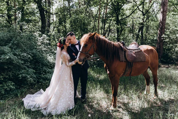 Boswandeling Van Pasgetrouwden Paard Rechtenvrije Stockfoto's