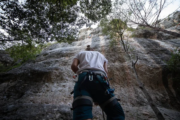 Baixo Homem Anônimo Arnês Olhando Para Montanha Verificando Parceiro Escalando — Fotografia de Stock