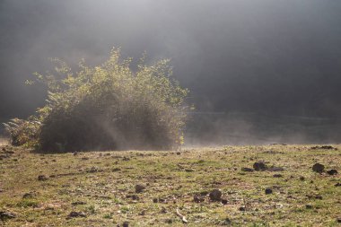 Çayır tırmanma alanı içinde Valdegova köyü Pais Vasco, İspanya
