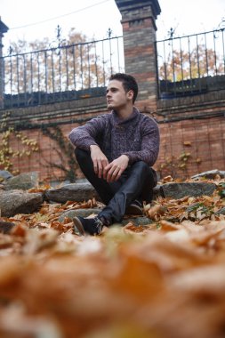 Çayır bitki örtüsü ile bir kaya üzerinde oturan genç yakışıklı adam