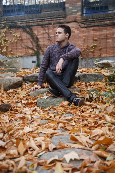 Çayır bitki örtüsü ile bir kaya üzerinde oturan genç yakışıklı adam