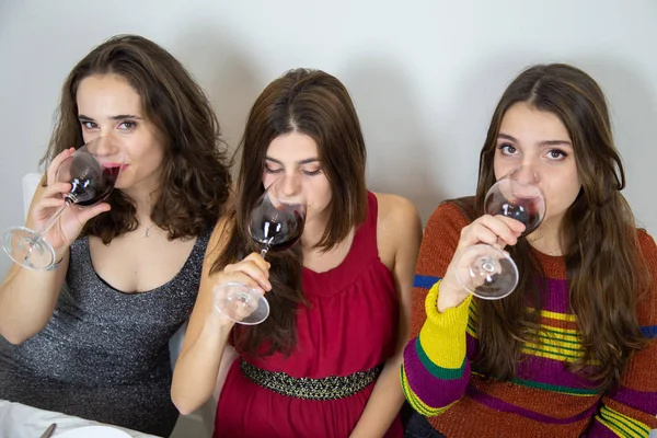 Jovens Mulheres Bebendo Vinho Enquanto Sentam Mesa Natal — Fotografia de Stock