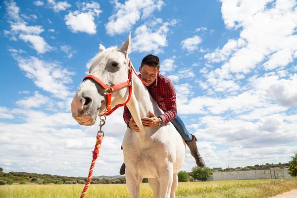 Jeune Homme Excité Tenue Décontractée Souriant Embrassant Cou Cheval Blanc — Photo