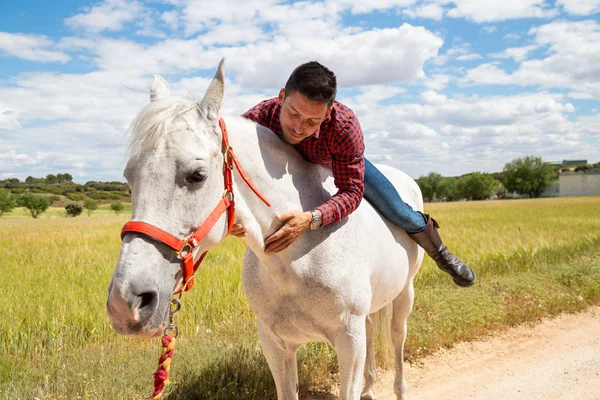 Jeune Homme Excité Tenue Décontractée Souriant Embrassant Cou Cheval Blanc — Photo