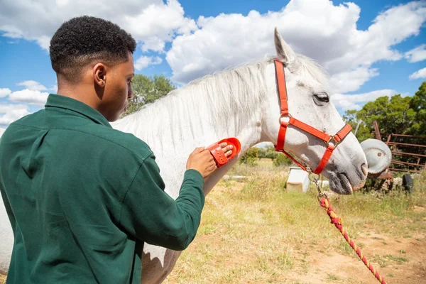 Vue Arrière Jeune Homme Afro Américain Utilisant Une Brosse Pour — Photo