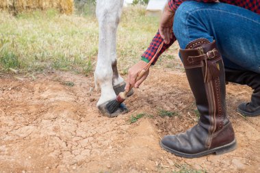Çiftçi beyaz at toynak üzerinde balmumu smear için fırça kullanarak adsız adam el