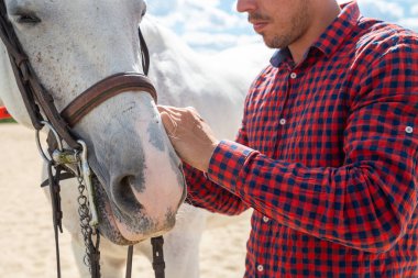 Güneşli bir günde çayırda dikilirken beyaz atın ağzına bağlanan günlük kıyafetli genç bir erkek.