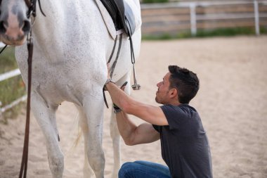 Çiftlikte ki padokta dururken beyaz atın arkasına siyah eyer koyan genç adamın yan görünümü