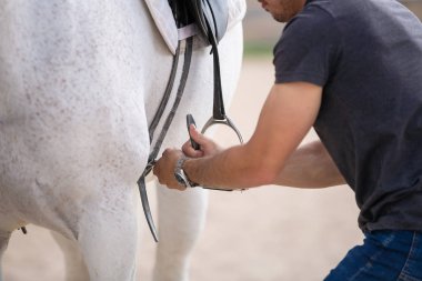 Çiftlikte ki padokta dururken beyaz atın arkasına siyah eyer koyan genç adamın yan görünümü