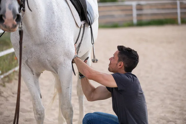 Çiftlikte ki padokta dururken beyaz atın arkasına siyah eyer koyan genç adamın yan görünümü
