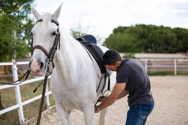 Çiftlikte ki padokta dururken beyaz atın arkasına siyah eyer koyan genç adamın yan görünümü