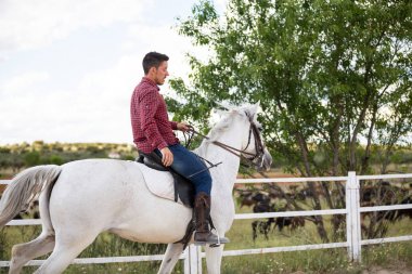 Çiftlikte kumlu zeminde beyaz ata binen günlük kıyafetli genç adam.