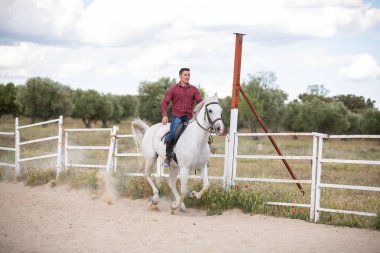 Çiftlikte kumlu zeminde beyaz ata binen günlük kıyafetli genç adam.
