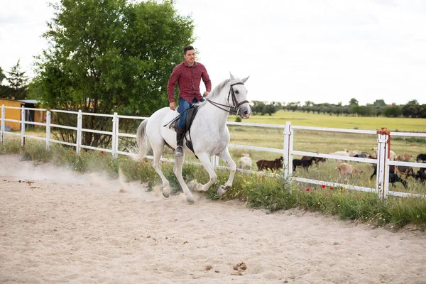 Jeune Homme Tenue Décontractée Chevauchant Cheval Blanc Sur Sol Sablonneux — Photo