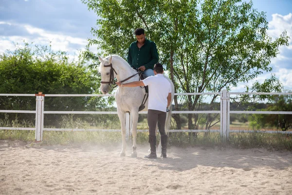 Νεαρός Μαθαίνει Στους Μαύρους Ιππεύουν Άλογο Στο Paddock Συννεφιασμένη Μέρα — Φωτογραφία Αρχείου