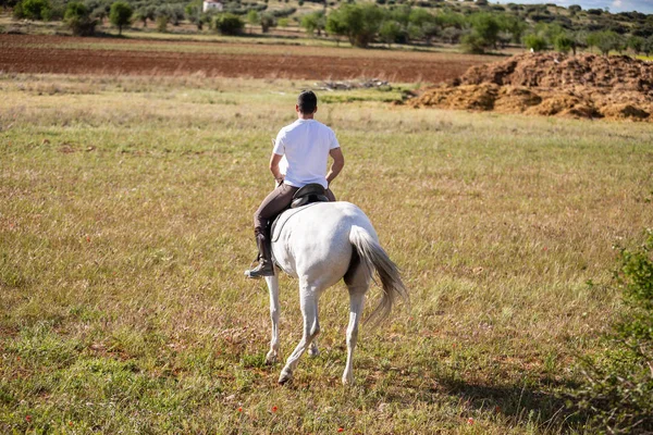 Widok Tyłu Młodego Mężczyznę Konna Białego Konia Trawiastej Łące Pochmurny — Zdjęcie stockowe