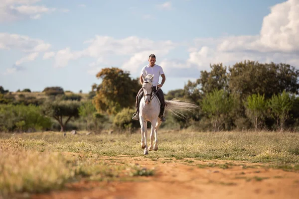 Jeune Homme Tenue Décontractée Équitation Cheval Blanc Sur Route Sablonneuse Photo De Stock