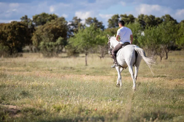 Jeune Homme Tenue Décontractée Équitation Cheval Blanc Sur Prairie Une — Photo
