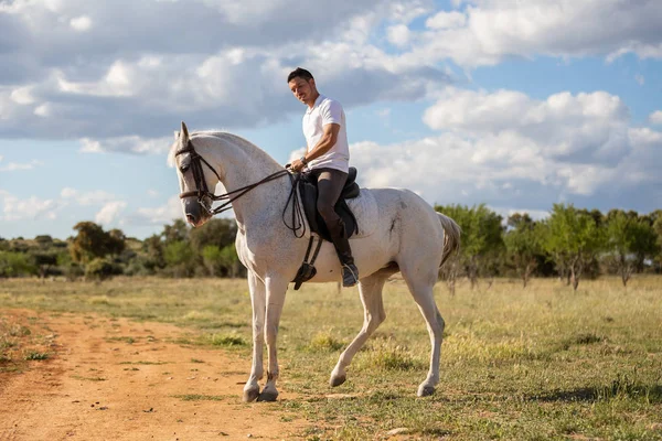 Jeune Homme Tenue Décontractée Équitation Cheval Blanc Sur Prairie Une — Photo