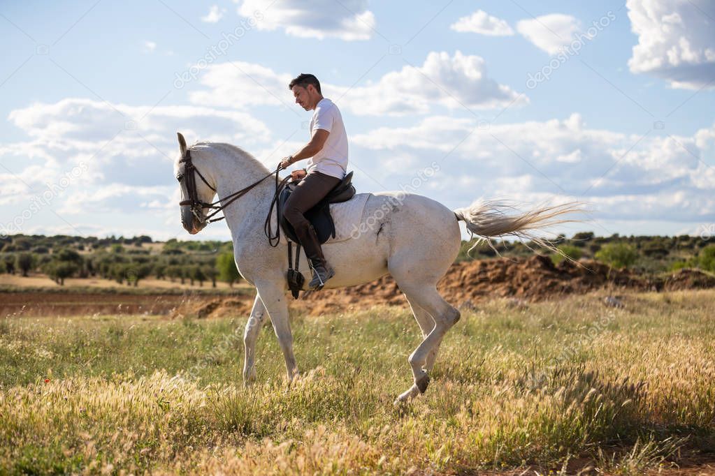 Young guy in casual outfit riding white horse on meadow a sunny day
