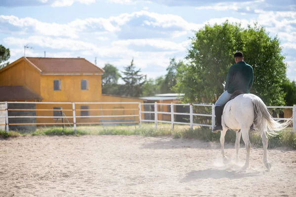 Joven Afroamericano Traje Casual Montar Caballo Blanco Terreno Arenoso Rancho — Foto de Stock