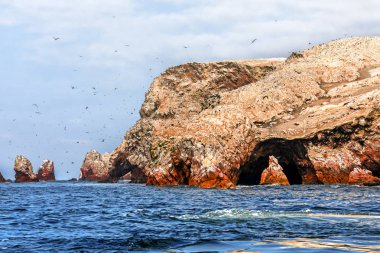 Paracas Milli Parkı Ballestas Adaları kayalarında Kuşlar, Peru.