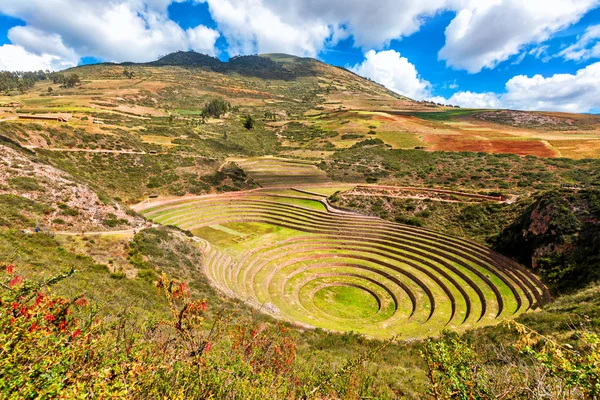 Moray tarımsal terracing, Peru