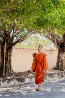 Oudong Budist Manastırı, Kamboçya