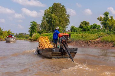 Mekong Nehri Deltası, Vietnam