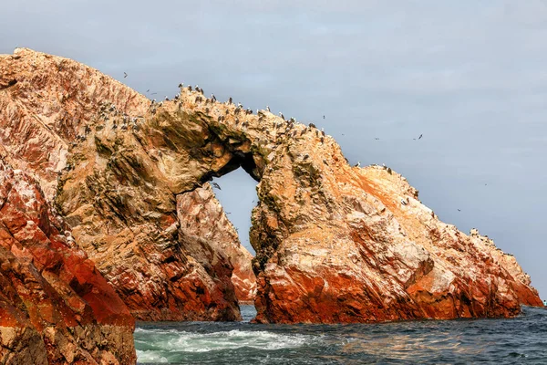 Birds Rocks Ballestas Islands Paracas National Park Peru — Stock Photo, Image