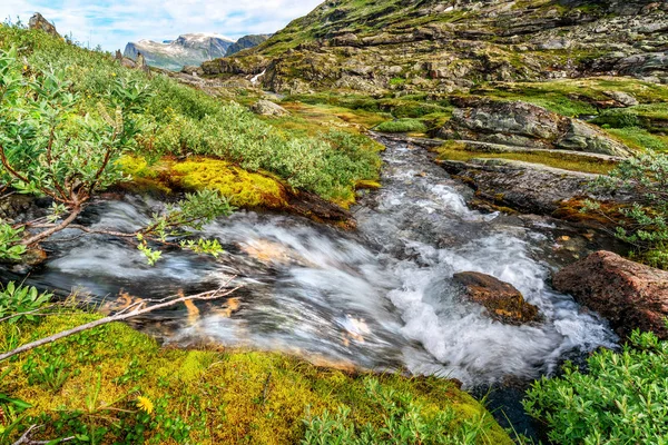 Fiume Torrente Nelle Verdi Montagne Estive Norvegia Natue — Foto Stock