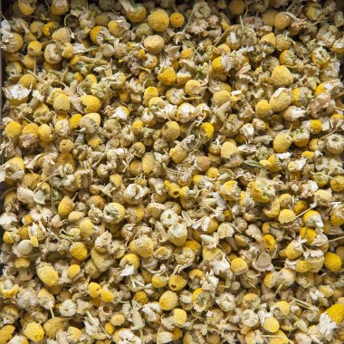 Çay kutusunda papatya çayı-doku