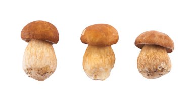 Beyaz üzerinde izole mantar yenilebilir