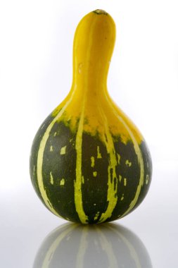 Beyaz, stüdyo shot izole Mini dekoratif kabak