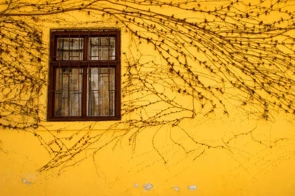 Urban sfondo grunge parete texture — Foto Stock