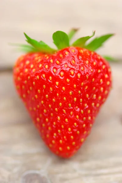 Frische Erdbeeren bei Tageslicht fotografiert — Stockfoto