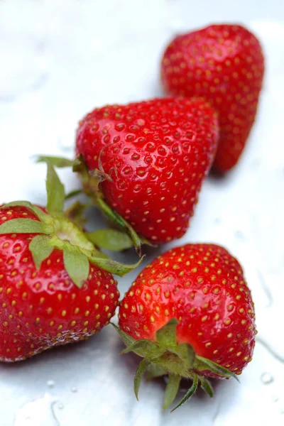 Frische Erdbeeren bei Tageslicht fotografiert — Stockfoto