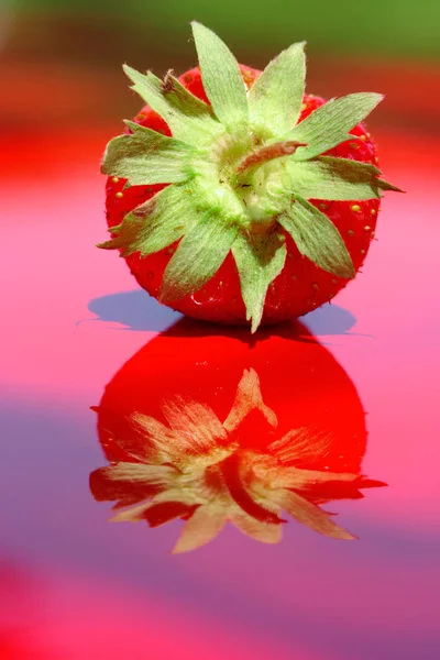 Świeże truskawki sfotografowane w warunkach dziennych — Zdjęcie stockowe